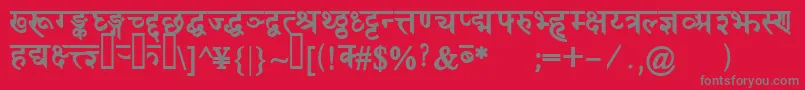 DevanagaridelhisskBold-Schriftart – Graue Schriften auf rotem Hintergrund