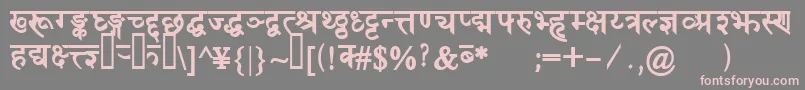 DevanagaridelhisskBold Font – Pink Fonts on Gray Background