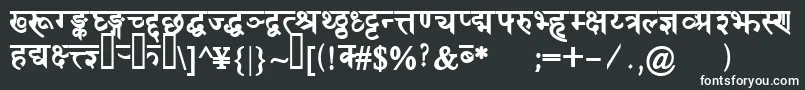 DevanagaridelhisskBold Font – White Fonts on Black Background