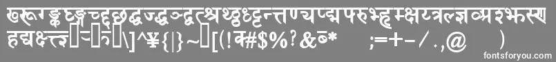DevanagaridelhisskBold Font – White Fonts on Gray Background