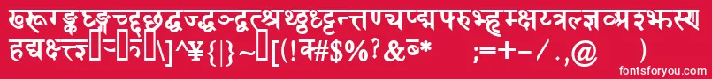 DevanagaridelhisskBold-Schriftart – Weiße Schriften auf rotem Hintergrund