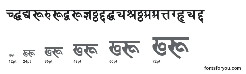 Größen der Schriftart DevanagaridelhisskBold