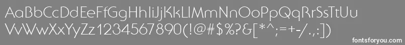 SebastianLightRegular Font – White Fonts on Gray Background