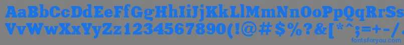 XeniaBoldRegular Font – Blue Fonts on Gray Background