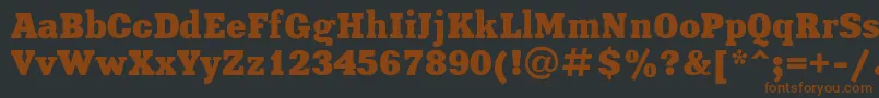 XeniaBoldRegular Font – Brown Fonts on Black Background