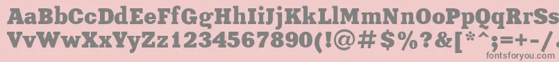 XeniaBoldRegular Font – Gray Fonts on Pink Background