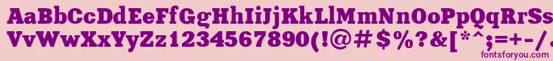 XeniaBoldRegular Font – Purple Fonts on Pink Background