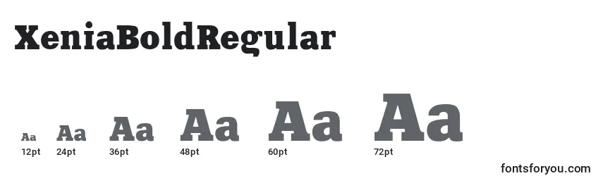 XeniaBoldRegular Font Sizes