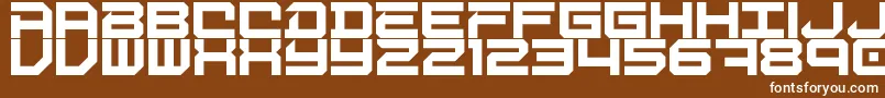 DigitalDesolation Font – White Fonts on Brown Background