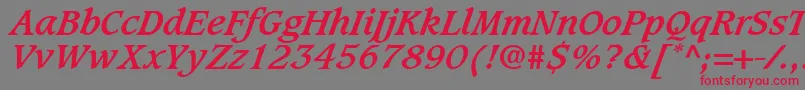 GrammateusSsiBoldItalic Font – Red Fonts on Gray Background