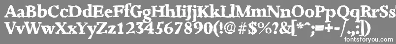フォントJessicarandomXboldRegular – 灰色の背景に白い文字
