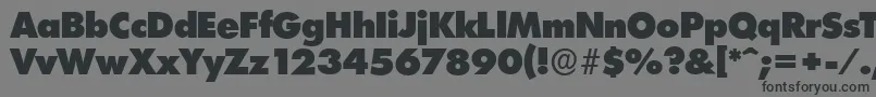 LimerickserialHeavyRegular Font – Black Fonts on Gray Background