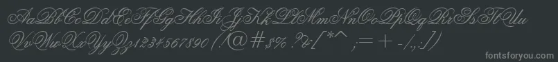 フォントFlemishScriptBt – 黒い背景に灰色の文字