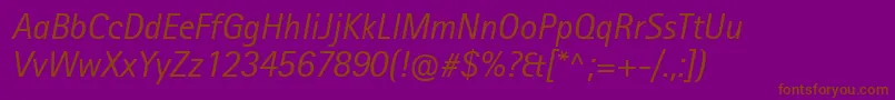 RotisIiSansProItalic Font – Brown Fonts on Purple Background