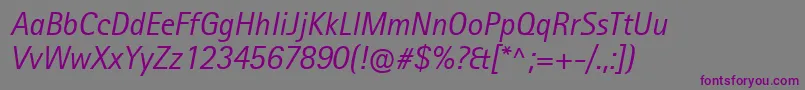 RotisIiSansProItalic Font – Purple Fonts on Gray Background