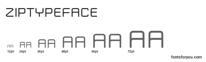 Размеры шрифта ZipTypeface