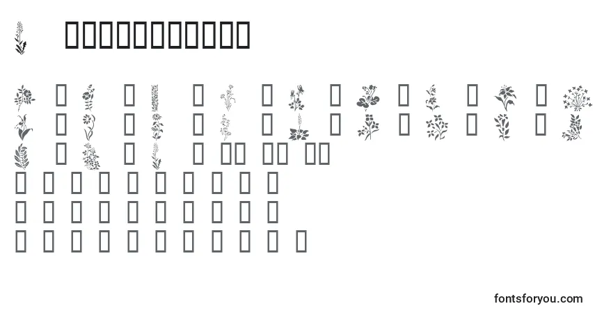 Czcionka Wildflowers1 – alfabet, cyfry, specjalne znaki