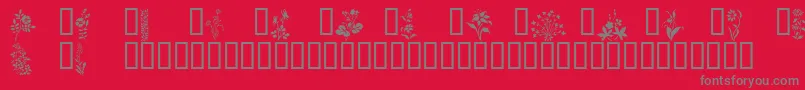 Wildflowers1-fontti – harmaat kirjasimet punaisella taustalla