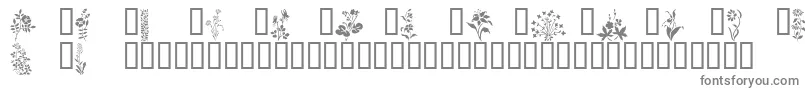 Wildflowers1-fontti – harmaat kirjasimet valkoisella taustalla