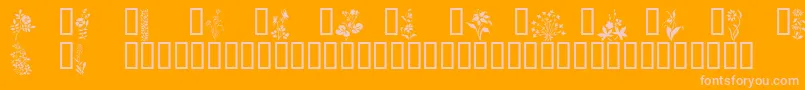 フォントWildflowers1 – オレンジの背景にピンクのフォント