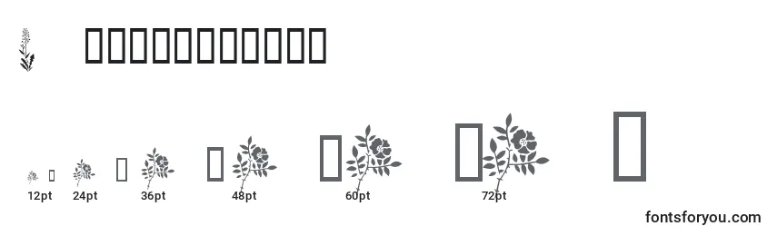 Размеры шрифта Wildflowers1
