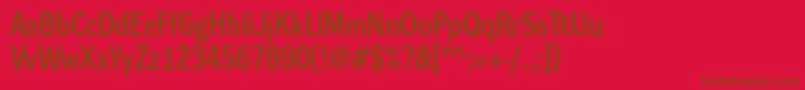 Dynagroteskdm Font – Brown Fonts on Red Background