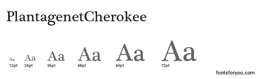 PlantagenetCherokee Font Sizes
