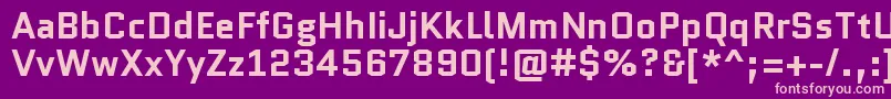 QuanticoBold Font – Pink Fonts on Purple Background