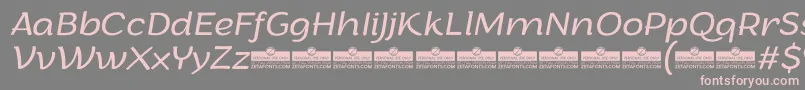 ArturoLightitalicTrial Font – Pink Fonts on Gray Background