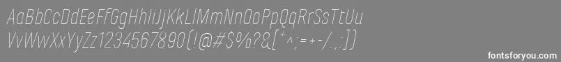MarianinaFyThinItalic Font – White Fonts on Gray Background