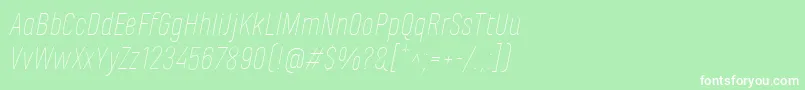 MarianinaFyThinItalic Font – White Fonts on Green Background