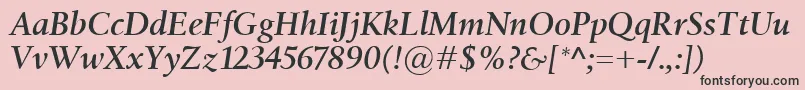 BirkaSemiboldItalic Font – Black Fonts on Pink Background