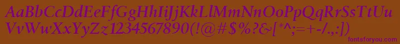 BirkaSemiboldItalic Font – Purple Fonts on Brown Background