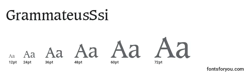 Размеры шрифта GrammateusSsi