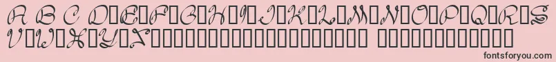 Daisy Font – Black Fonts on Pink Background
