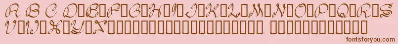 Daisy Font – Brown Fonts on Pink Background