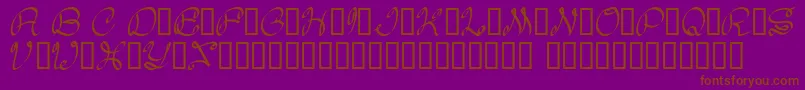 Daisy Font – Brown Fonts on Purple Background