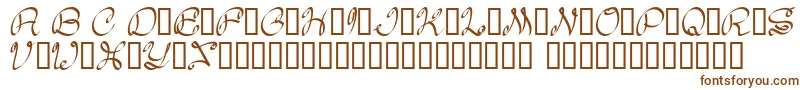 Fonte Daisy – fontes marrons
