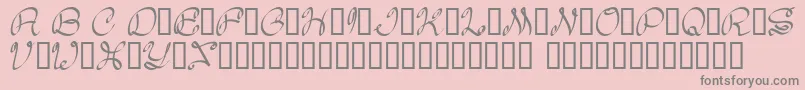 Daisy Font – Gray Fonts on Pink Background