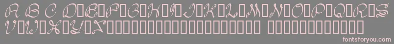 fuente Daisy – Fuentes Rosadas Sobre Fondo Gris