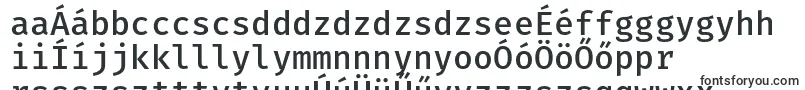 Шрифт FiramonoMedium – венгерские шрифты