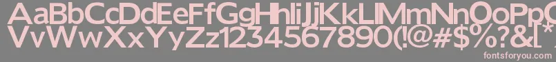 フォントReforma – 灰色の背景にピンクのフォント