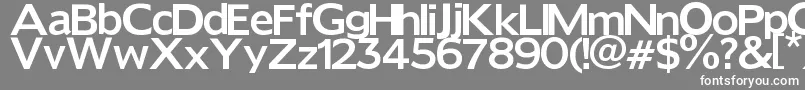 Шрифт Reforma – белые шрифты на сером фоне
