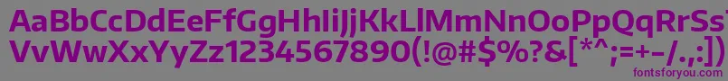 EncodesansBold Font – Purple Fonts on Gray Background