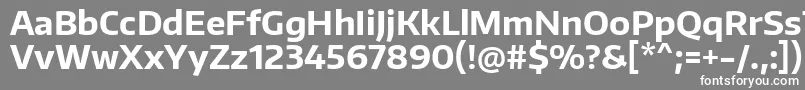 EncodesansBold-Schriftart – Weiße Schriften auf grauem Hintergrund