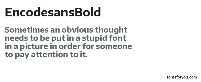 Review of the EncodesansBold Font