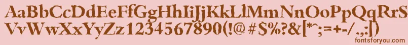 BambergrandomBold Font – Brown Fonts on Pink Background