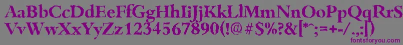 BambergrandomBold Font – Purple Fonts on Gray Background