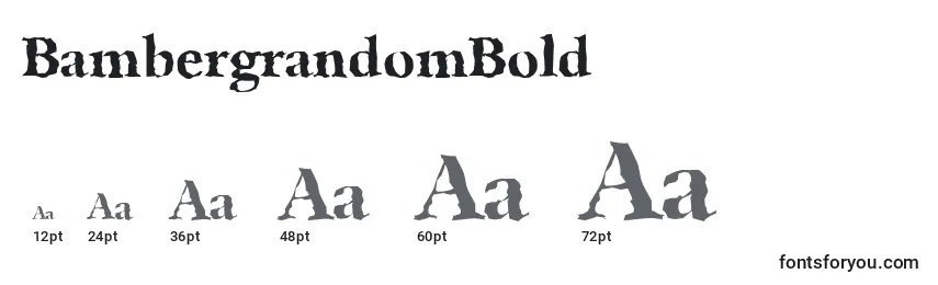 BambergrandomBold Font Sizes