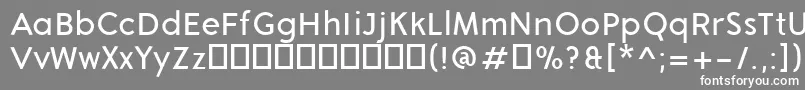 AronGrotesqueRegular Font – White Fonts on Gray Background